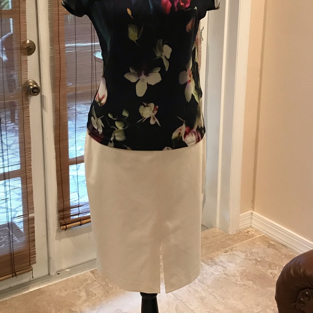 The Limited Skirt Perfect with any Top